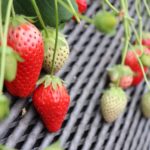 こんにちは😃ぽんずです❤️