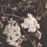 まりの🎀13時~20時🎀