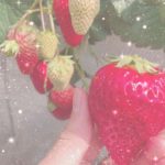 まりの🎀12時~20時🎀