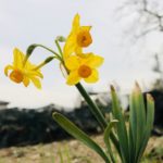 こんにちは、ぽんずです