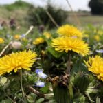 こんにちは、ぽんずです🐰💕