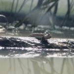 ぽんずです🐰💕