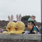 こんにちは！せしるです(⑉• •⑉)♡