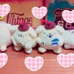 こんにちはみのです🐶❤️