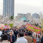 お花見してきたよ🌸