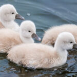 どの世界にも良い人悪い人はいる【大宮JKリフレ】