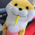 大盛況大宮店★7月9日　感謝の営業(ﾉ)’∀｀(ヾ)