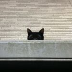 明日というか今日