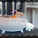 10月ありがとう！♡