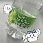 最近のお気に入り!