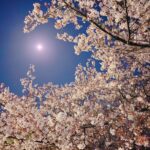 こんにちはっ せいなです🧸