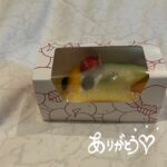 急遽‼️出勤♡はるの✨